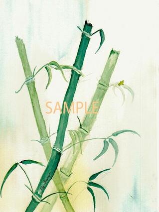 "Bamboo"
