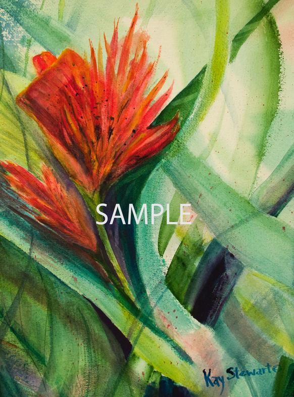 "Bird of Paradise"